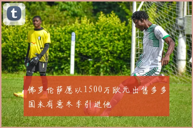 佛罗伦萨愿以1500万欧元出售多多国米有意冬季引进他