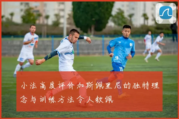 小法高度评价加斯佩里尼的独特理念与训练方法令人钦佩