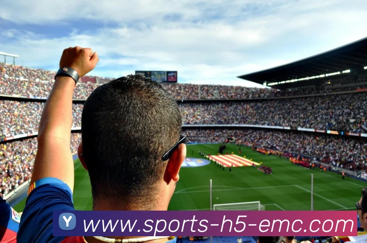 多媒体互动体验